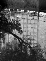 /album/reflections/without-you-jpg1/